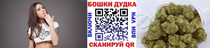 Каннабис SATIVA & INDICA  Шилка 